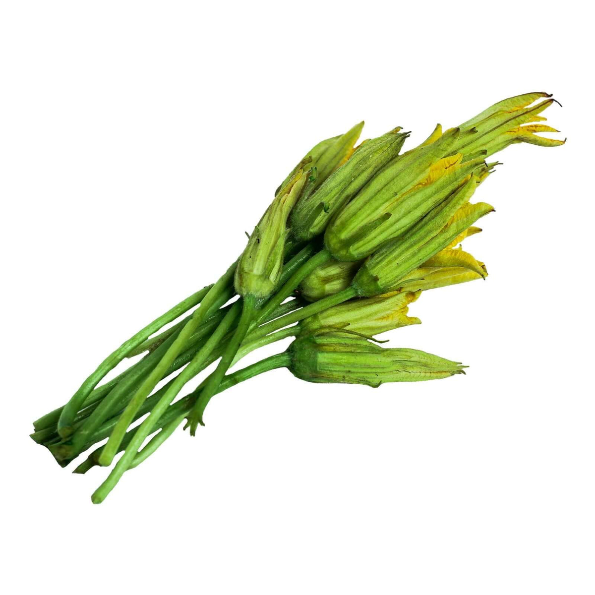 Squash Flower (bundle) 1 Palengke Delivery Online Safe Select PH