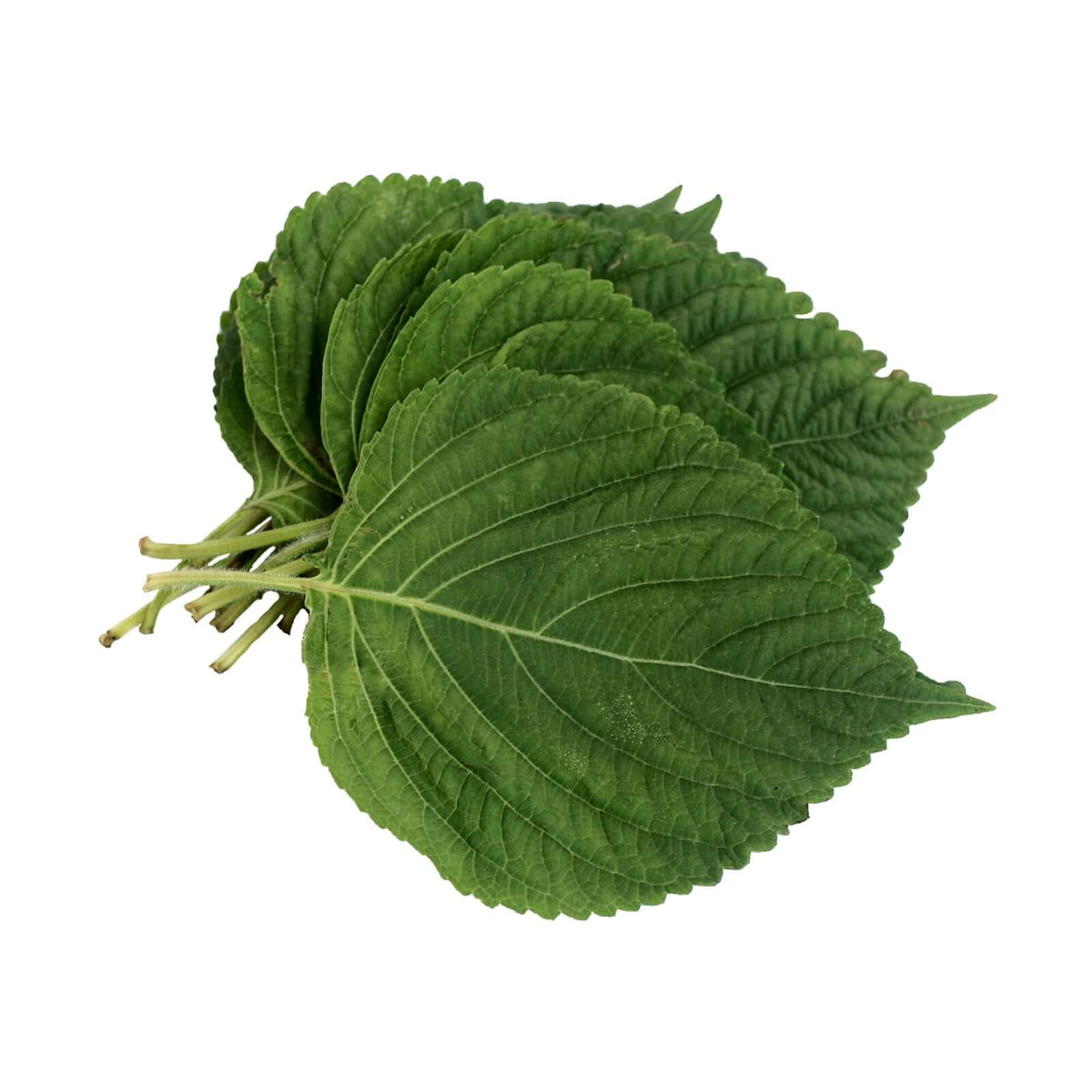 Sesame Leaves (50g) 1 Palengke Delivery Online Safe Select PH