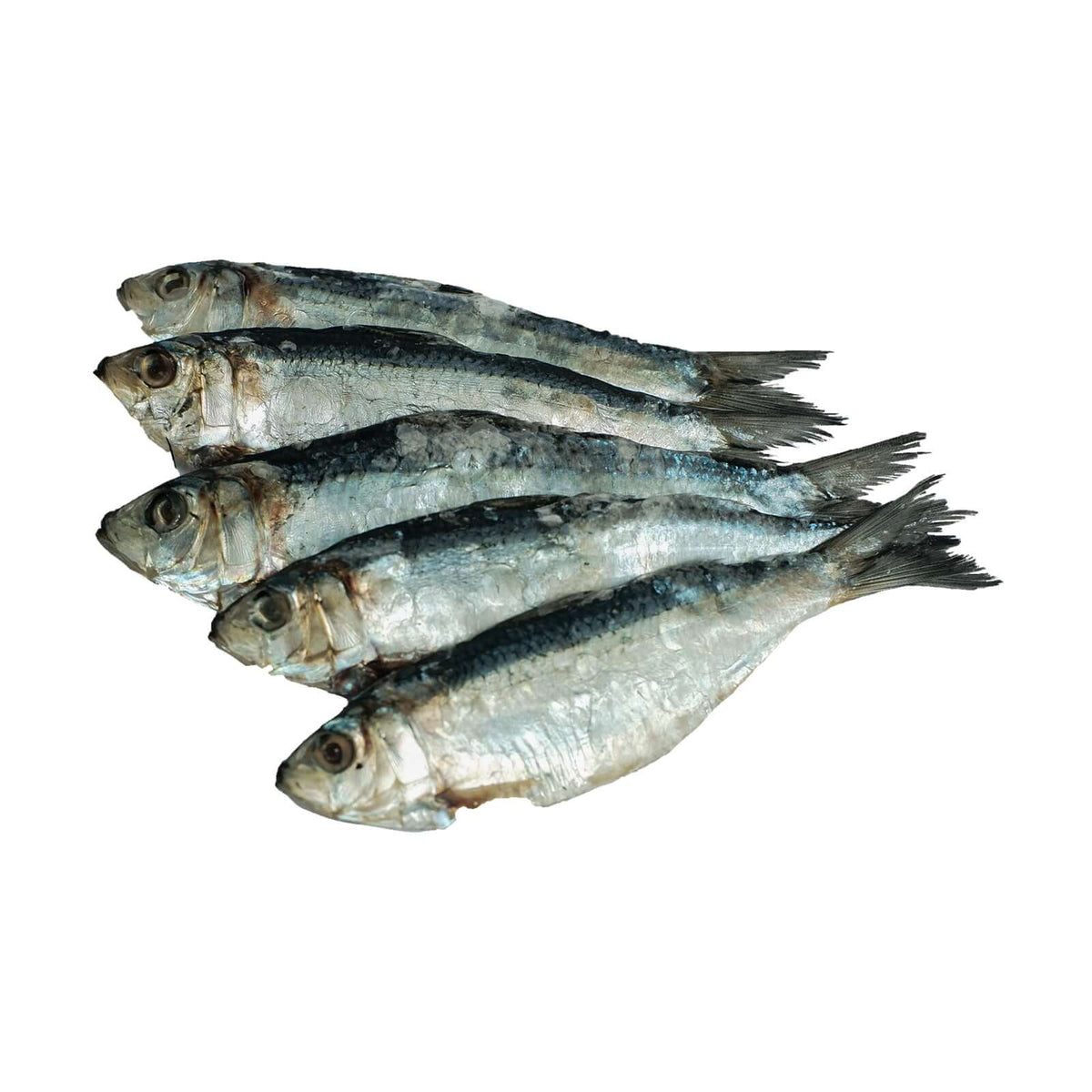 Dried Fish Tuyo 100g. - 魚介類(加工食品)