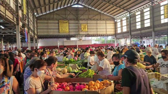Where to Get Fresh Fruits in Las Pinas | Top 4 Palengkes, Groceries, and Online Deliveries for the Freshest Picks