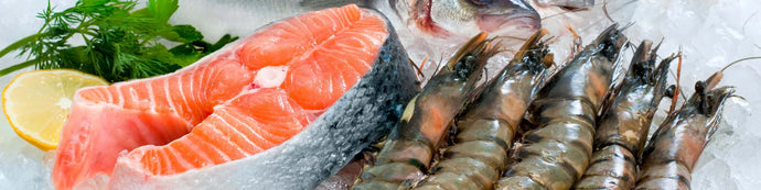 The Real Reason Why You Should Buy Fresh Seafood Online Instead of the Palengke