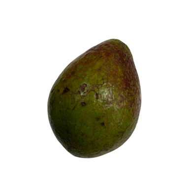 Avocado Semi-Premium (pc) Fruits Fresh Next-Day Online Palengke Delivery in Metro Manila, Philippines by Safe Select