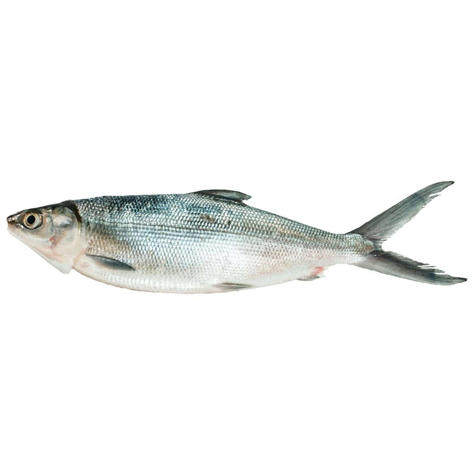 Bangus Dagupan (kg) Fresh Seafood Fresh Next-Day Online Palengke Delivery in Metro Manila, Philippines by Safe Select