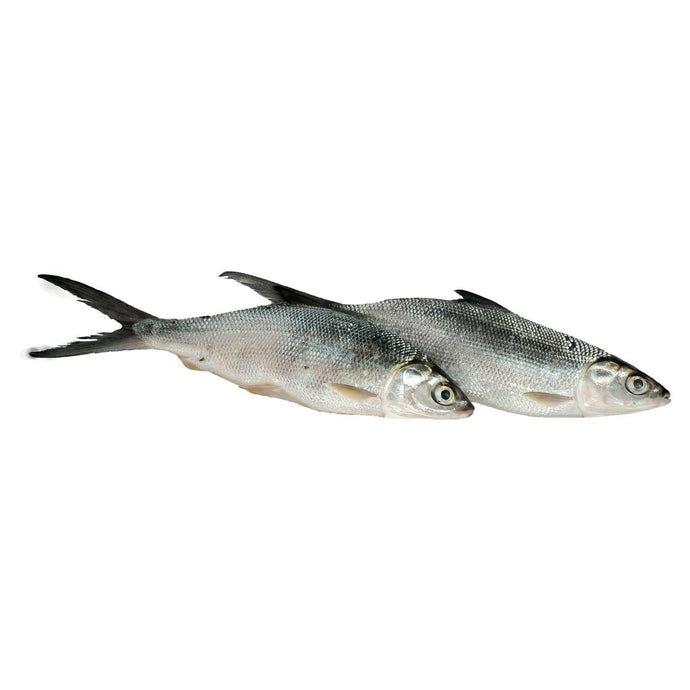 Bangus Bulacan (kg) Fresh Seafood Fresh Next-Day Online Palengke Delivery in Metro Manila, Philippines by Safe Select