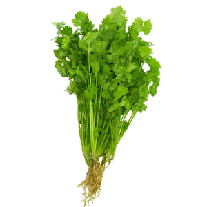 Cilantro (50g) Herbs & Spices Fresh Next-Day Online Palengke Delivery in Metro Manila, Philippines by Safe Select