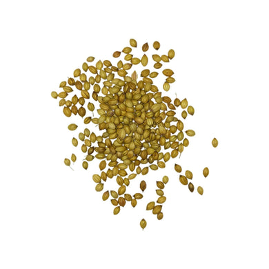 Coriander Seeds (50g) Herbs & Spices Fresh Next-Day Online Palengke Delivery in Metro Manila, Philippines by Safe Select