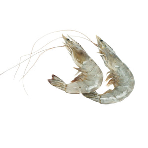 Large Shrimps (500g) Fresh Seafood Fresh Next-Day Online Palengke Delivery in Metro Manila, Philippines by Safe Select