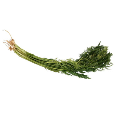 Dill (50g) Herbs & Spices Fresh Next-Day Online Palengke Delivery in Metro Manila, Philippines by Safe Select