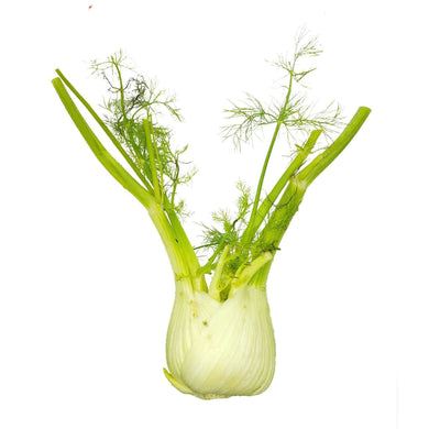 Fennel Bulb (pc) Vegetables Fresh Next-Day Online Palengke Delivery in Metro Manila, Philippines by Safe Select