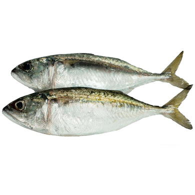 Hasa Hasa (500g) Fresh Seafood Fresh Next-Day Online Palengke Delivery in Metro Manila, Philippines by Safe Select