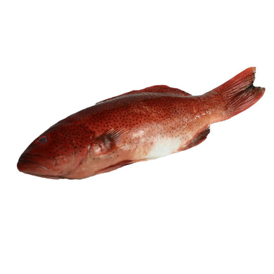 Red Lapu-Lapu (kg) Fresh Seafood Fresh Next-Day Online Palengke Delivery in Metro Manila, Philippines by Safe Select