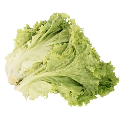 Green Ice Lettuce (500g) Vegetables Fresh Next-Day Online Palengke Delivery in Metro Manila, Philippines by Safe Select