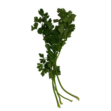 Organic Flat Parsley (50g) Herbs & Spices Fresh Next-Day Online Palengke Delivery in Metro Manila, Philippines by Safe Select