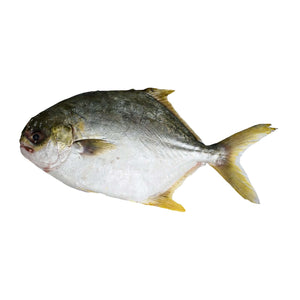 Pampano (kg) Fresh Seafood Fresh Next-Day Online Palengke Delivery in Metro Manila, Philippines by Safe Select