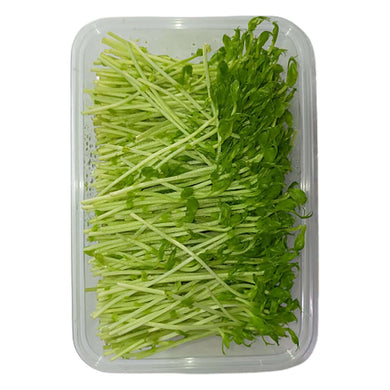 Dou Miao / Pea Shoots (250g) Vegetables Fresh Next-Day Online Palengke Delivery in Metro Manila, Philippines by Safe Select