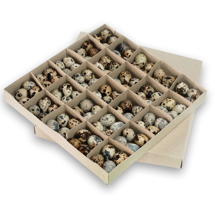Quail Eggs - 24pcs (tray) Eggs Fresh Next-Day Online Palengke Delivery in Metro Manila, Philippines by Safe Select
