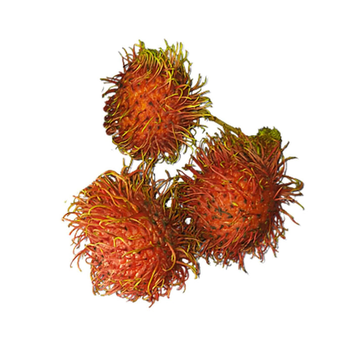 Rambutan (kg) Fruits Fresh Next-Day Online Palengke Delivery in Metro Manila, Philippines by Safe Select