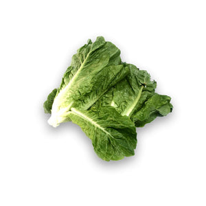Romaine Lettuce (500g) Vegetables Fresh Next-Day Online Palengke Delivery in Metro Manila, Philippines by Safe Select