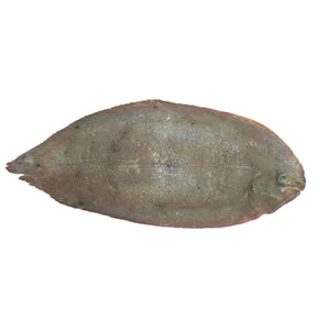 Sole Fish (500g) Fresh Seafood Fresh Next-Day Online Palengke Delivery in Metro Manila, Philippines by Safe Select