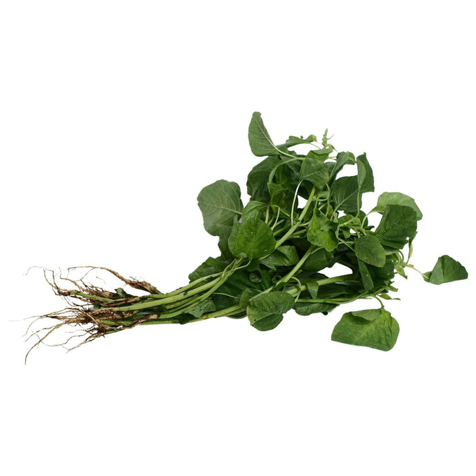 Spinach Tagalog (250g) Vegetables Fresh Next-Day Online Palengke Delivery in Metro Manila, Philippines by Safe Select