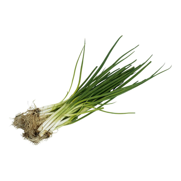 Spring Onions (100g) Vegetables Fresh Next-Day Online Palengke Delivery in Metro Manila, Philippines by Safe Select
