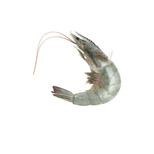 Small Shrimps (500g) Fresh Seafood Fresh Next-Day Online Palengke Delivery in Metro Manila, Philippines by Safe Select