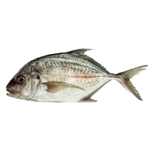 Talakitok Genuine (kg) Fresh Seafood Fresh Next-Day Online Palengke Delivery in Metro Manila, Philippines by Safe Select