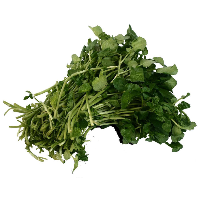 Watercress (500g) Vegetables Fresh Next-Day Online Palengke Delivery in Metro Manila, Philippines by Safe Select