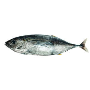 Yellow Fin (kg) Fresh Seafood Fresh Next-Day Online Palengke Delivery in Metro Manila, Philippines by Safe Select