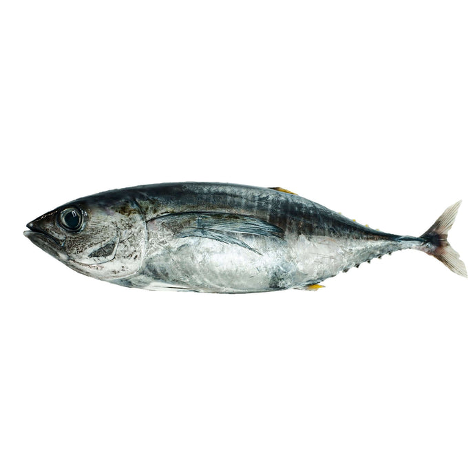 Yellow Fin (kg) Fresh Seafood Fresh Next-Day Online Palengke Delivery in Metro Manila, Philippines by Safe Select